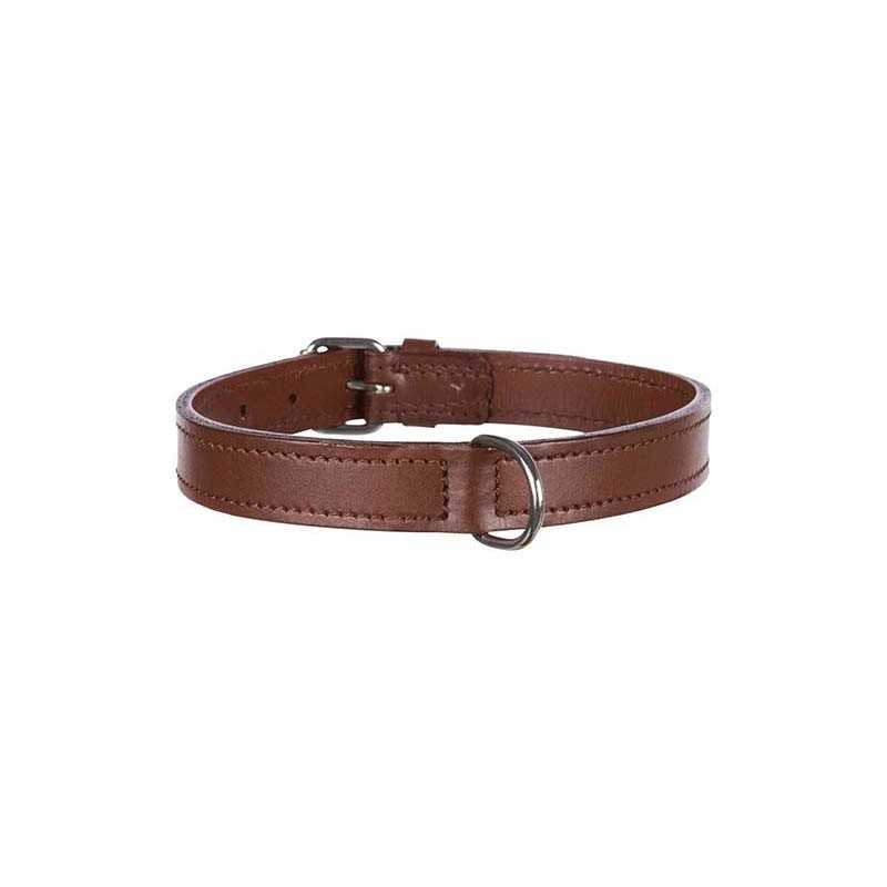 Collier en cuir pour chien Active  