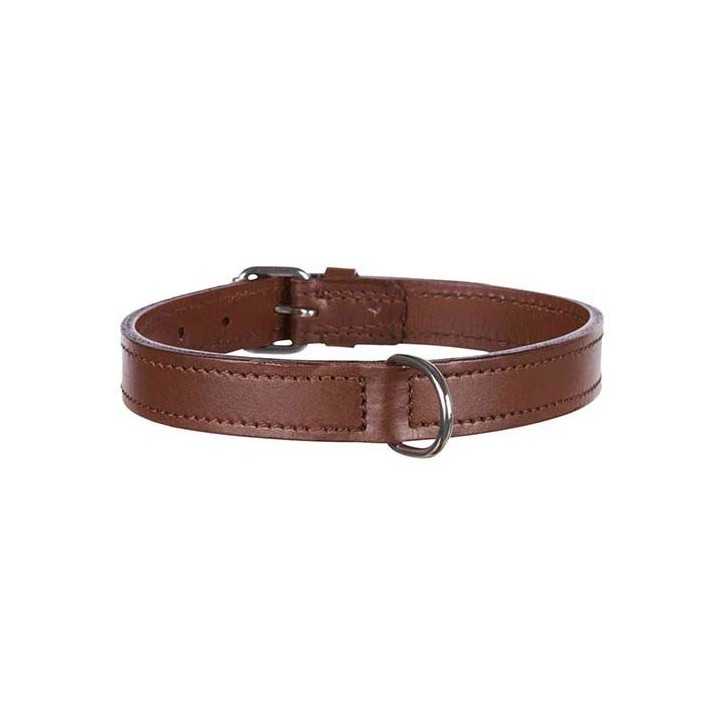 Collier en cuir pour chien Active