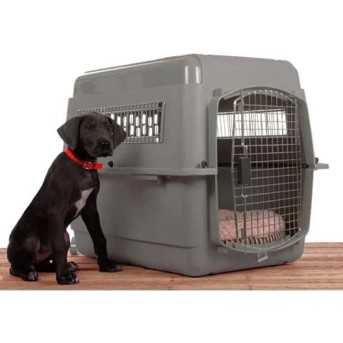 Caisse de transport pour chien Skykennel