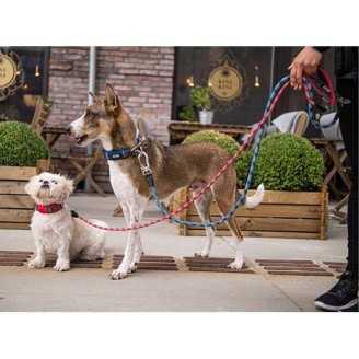 DOG COPENHAGEN - Laisse Urban Rope  