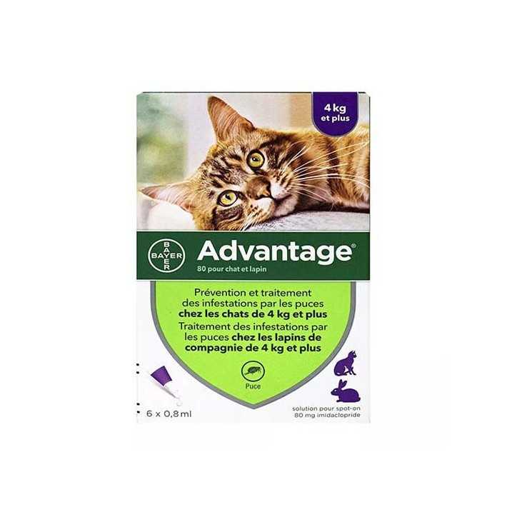 Advantage - Pipettes antiparasitaires pour chat