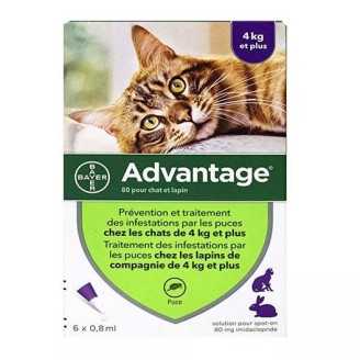 Advantage - Pipettes antiparasitaires pour chat 