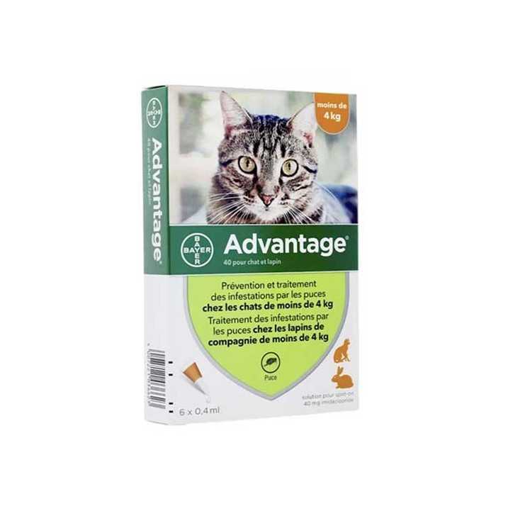 Advantage - Pipettes antiparasitaires pour chat