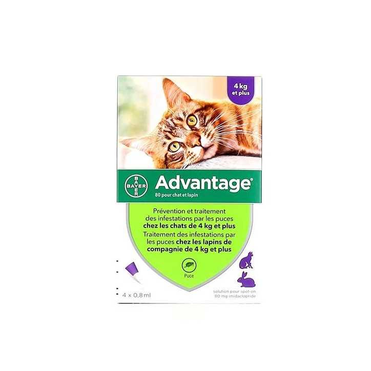 Advantage - Pipettes antiparasitaires pour chat