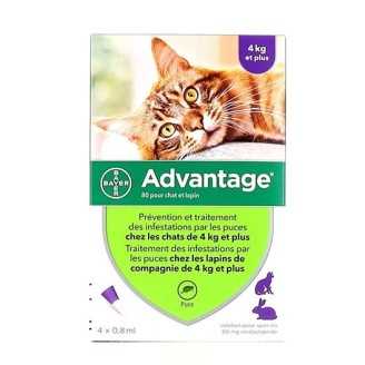 Advantage - Pipettes antiparasitaires pour chat 