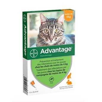 Advantage - Pipettes antiparasitaires pour chat  