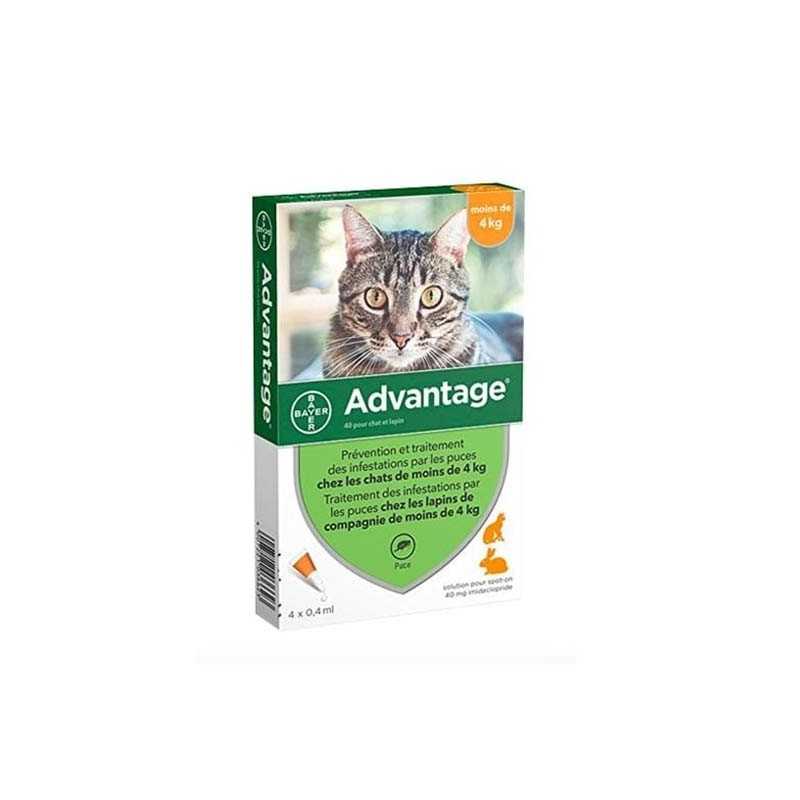 Advantage - Pipettes antiparasitaires pour chat 