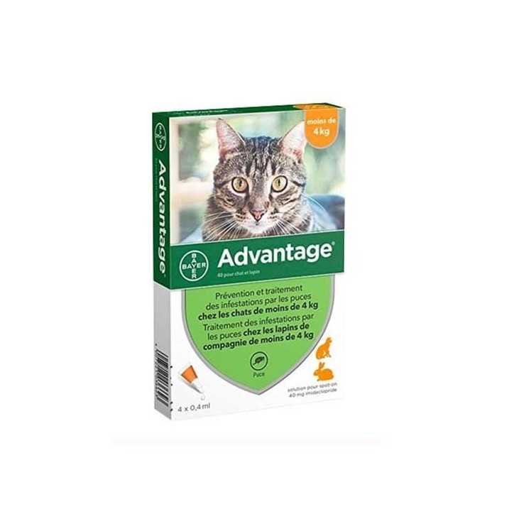 Advantage - Pipettes antiparasitaires pour chat