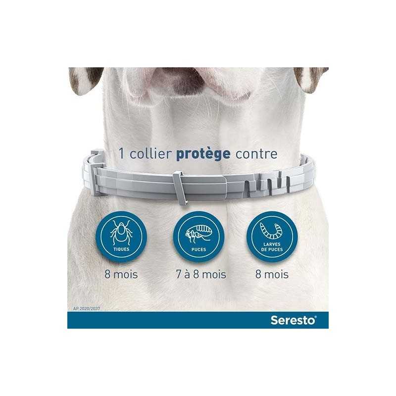 Seresto Collier antiparasitaire pour chien 