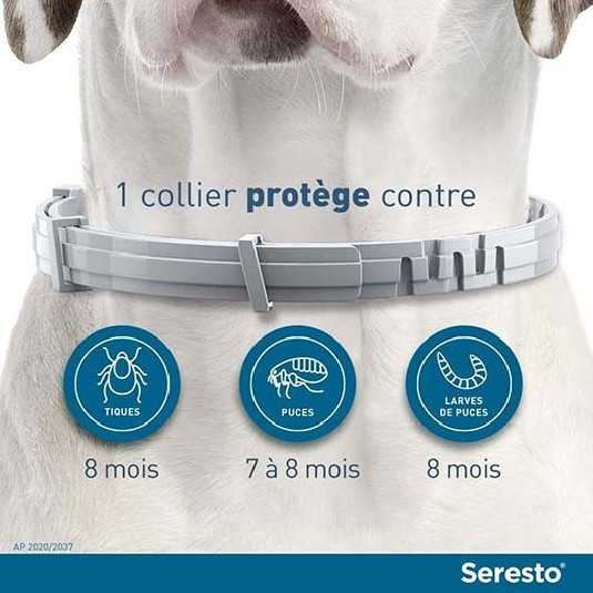 Seresto Collier antiparasitaire pour chien 