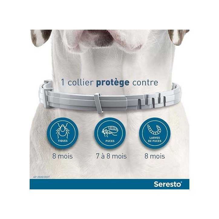 Seresto Collier antiparasitaire pour chien