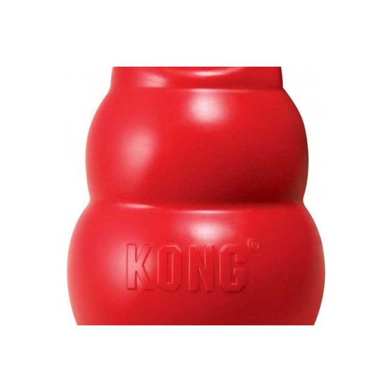 KONG Bounzer 