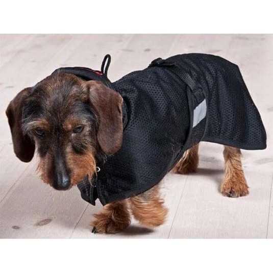 Back On Track Dachshund Mesh Coat