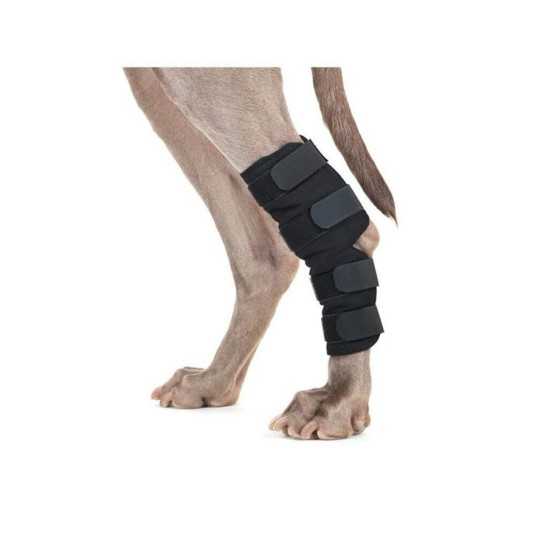 Back On Track Protection de patte arriere pour chien