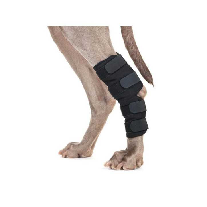 Back On Track Protection de patte arriere pour chien