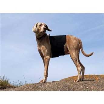 Back On Track Protection de lombaires pour chien