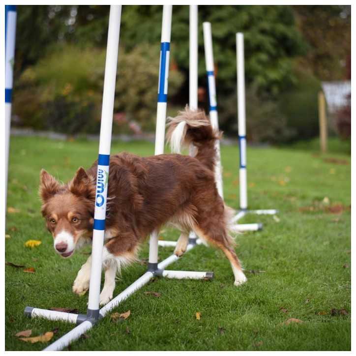 Slalom d'entrainement PVC