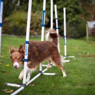 Slalom d'entrainement PVC 