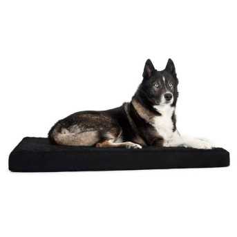 Back On Track Dog Mattress