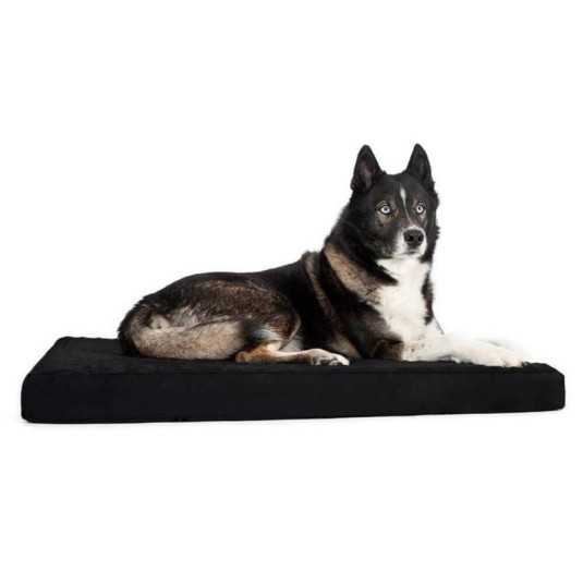 Back On Track Matelas pour chien