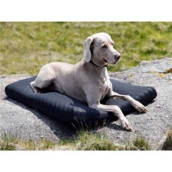 Back On Track Dog Mattress