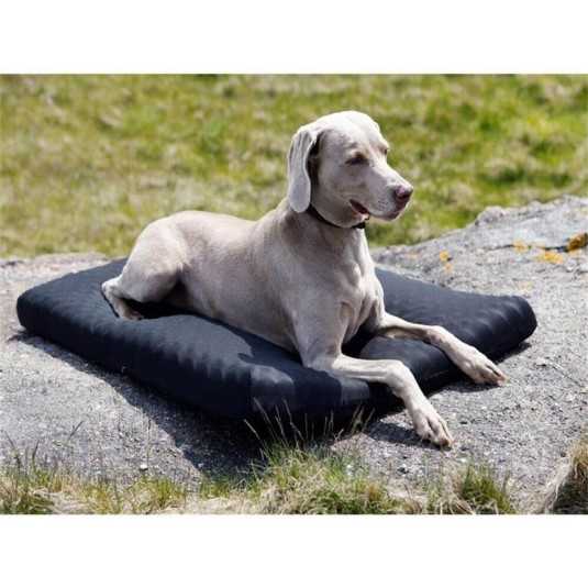 Back On Track Matelas pour chien 