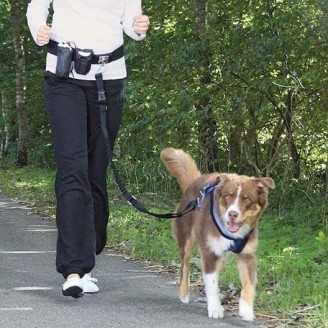 Ceinture ventrale canicross avec laisse 