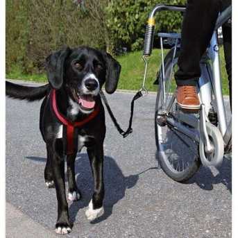 Set d'attache velo pour chien