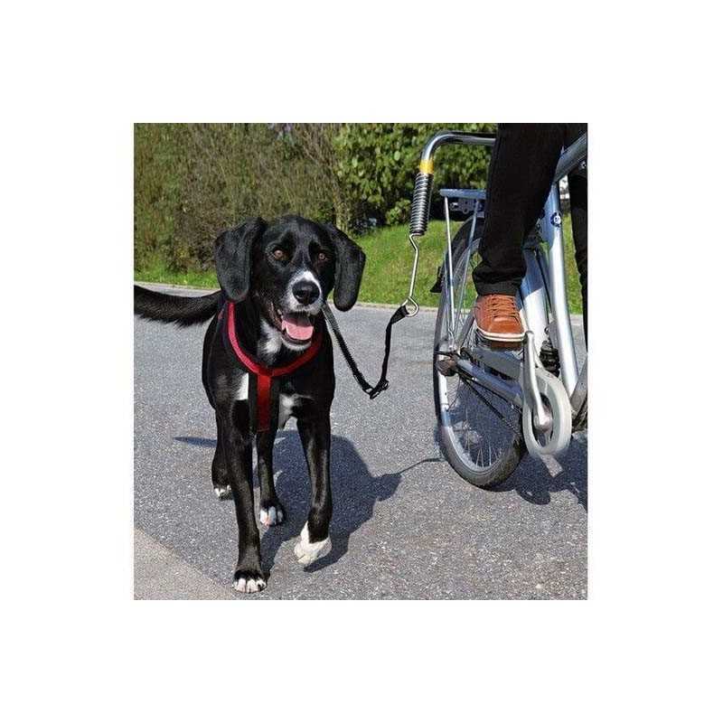 Set d'attache velo pour chien 