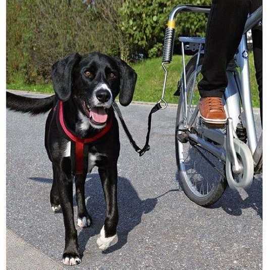 Set d'attache velo pour chien 