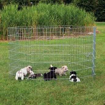 Enclos pour chiots en metal galvanise