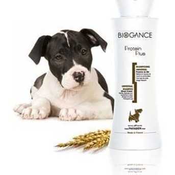 Biogance Shampoing proteine plus