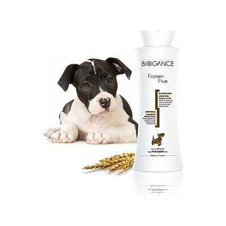 Biogance Shampoing proteine plus