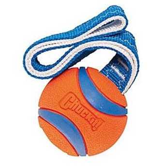 Chuck It Ultra tug ball