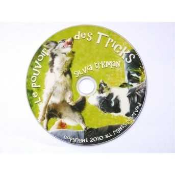 DVD Le pouvoir des tricks 