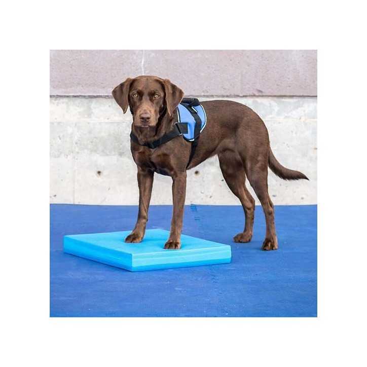 FitPaws Balance Pad