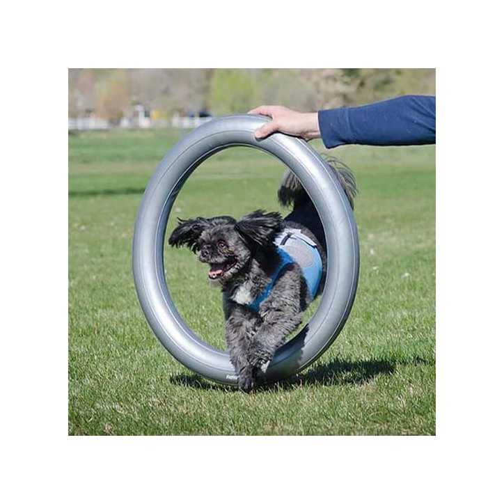 FitPaws anneau gonflable Donut Holder