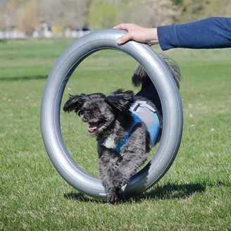 FitPaws anneau gonflable Donut Holder 