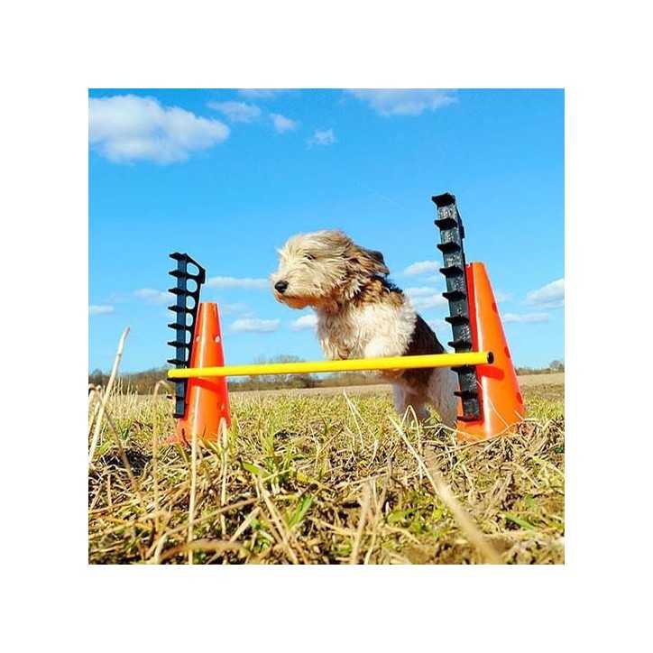 FitPaws saut d'obstacle Hurdle Set