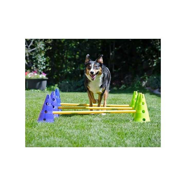 FitPaws mini haie Canine Gym Dog Agility 100% rembourse