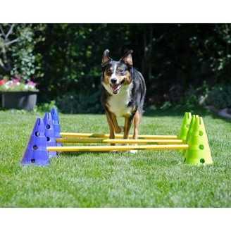 FitPaws mini haie Canine Gym Dog Agility 100% rembourse 