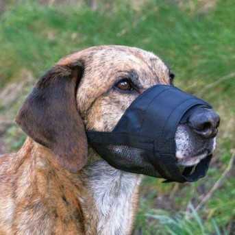 Adjustable mesh muzzle for dogs