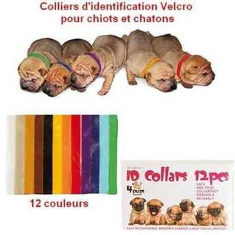 Colliers d'identification pour chiots x12