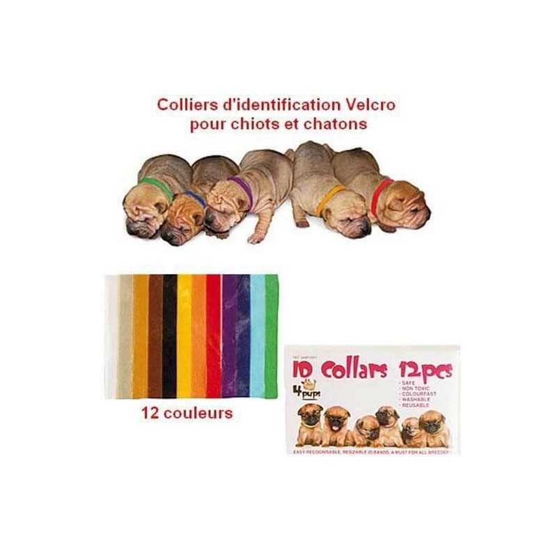 Colliers d'identification pour chiots x12 