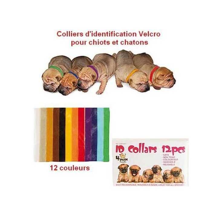 Colliers d'identification pour chiots x12