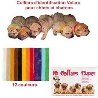 Colliers d'identification pour chiots x12 