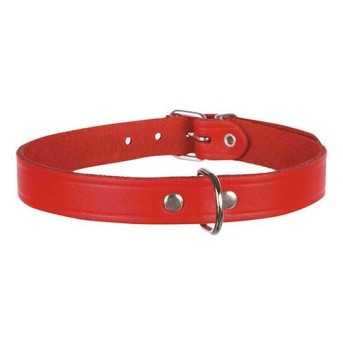 Collier pour chien Basic