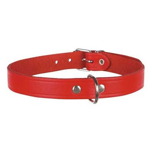 Collier pour chien Basic