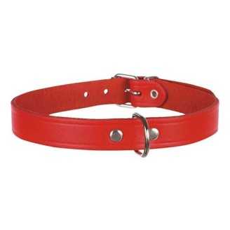 Collier pour chien Basic  