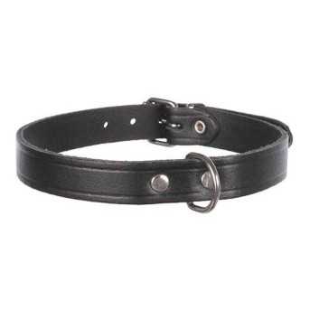 Collier pour chien Basic